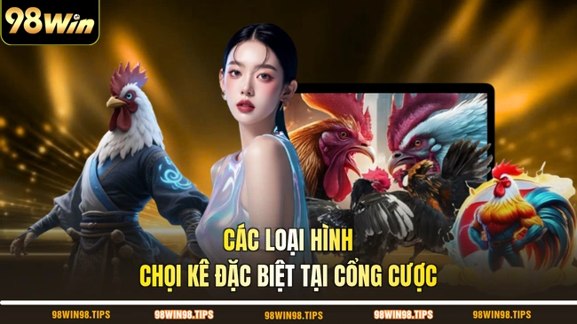 Các loại hình chọi kê đặc biệt tại cổng cược