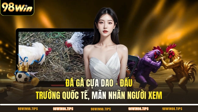 Đá Gà Cựa Dao - Đấu Trường Quốc Tế, Mãn Nhãn Người Xem