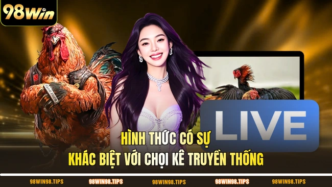 Hình thức có sự khác biệt với chọi kê truyền thống