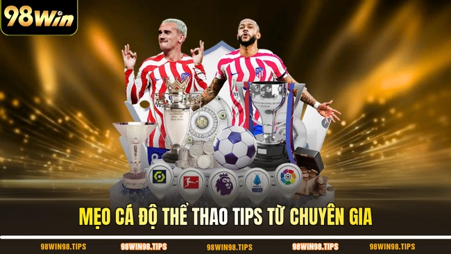 Mẹo cá độ thể thao tips từ chuyên gia